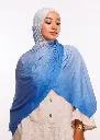 216.webp